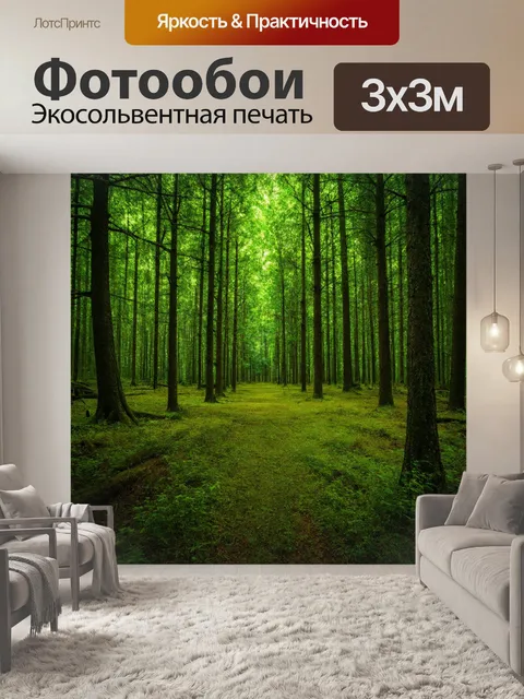Фотообои лес с гладкой зоной для медитации и уединения