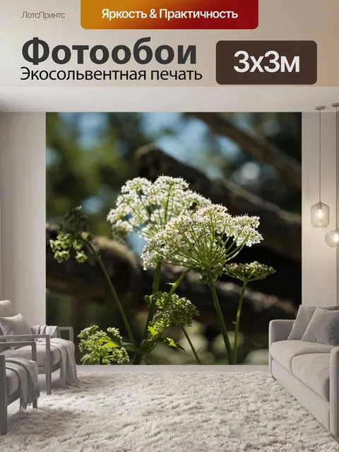 Фотообои Цветы