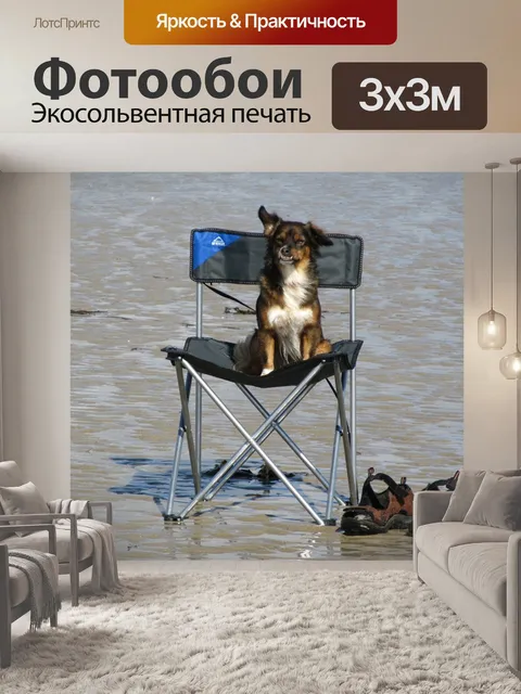 Фотообои Собака