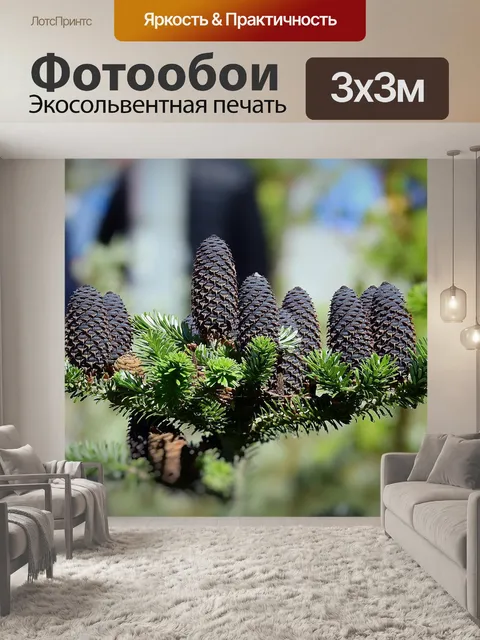 Фотообои Дерево
