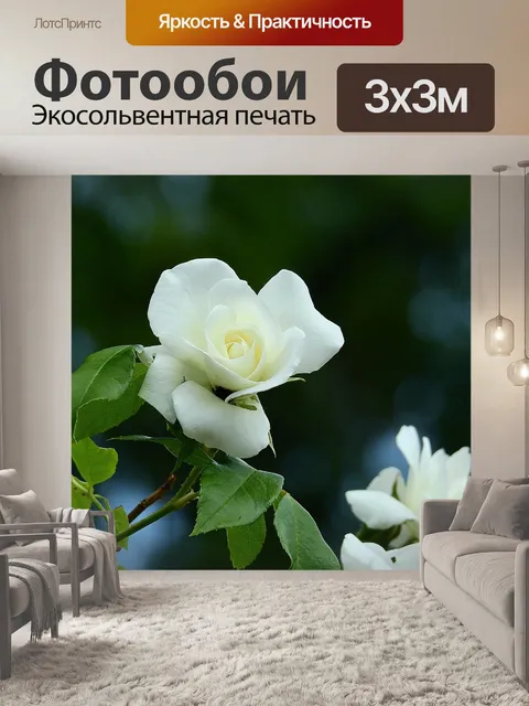 Фотообои Розы