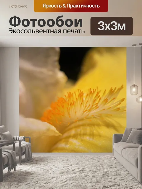 Фотообои Цветок