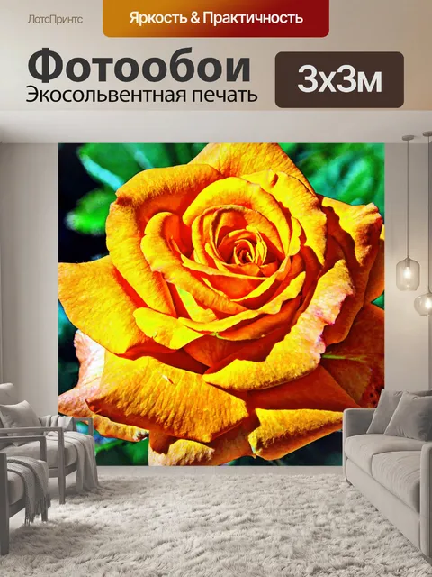 Фотообои Сюрреалистическая оранжевая роза