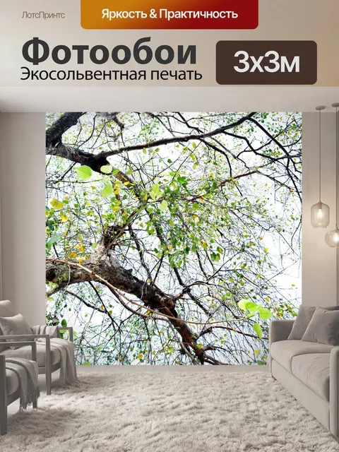 Фотообои Деревья и листья 57