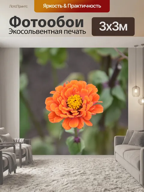 Фотообои Цветы
