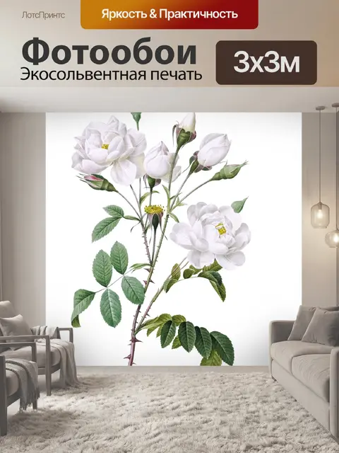 Фотообои Роза винтажное искусство цветок