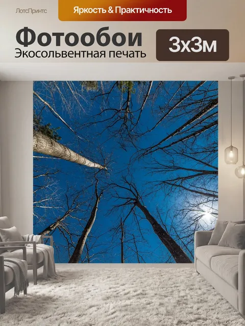 Фотообои Деревья