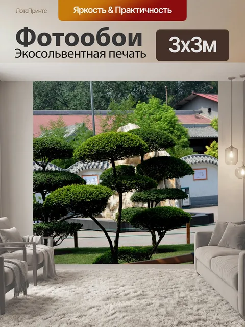 Фотообои Зонтик деревья
