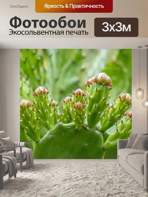 Фотообои Цветы