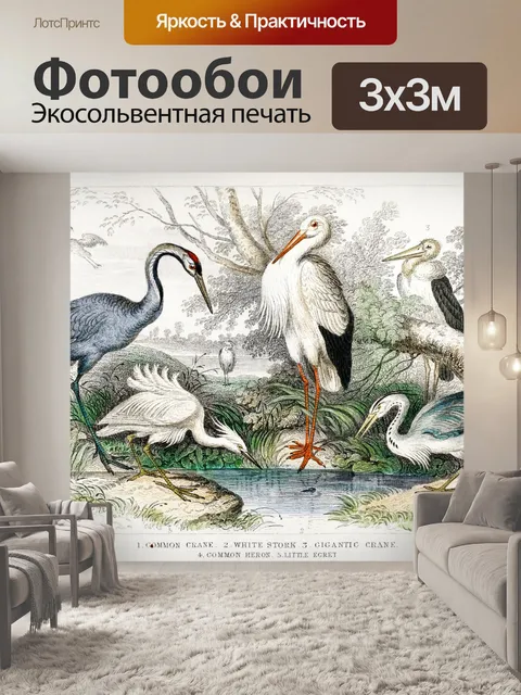 Фотообои Птицы цапля аист винтаж
