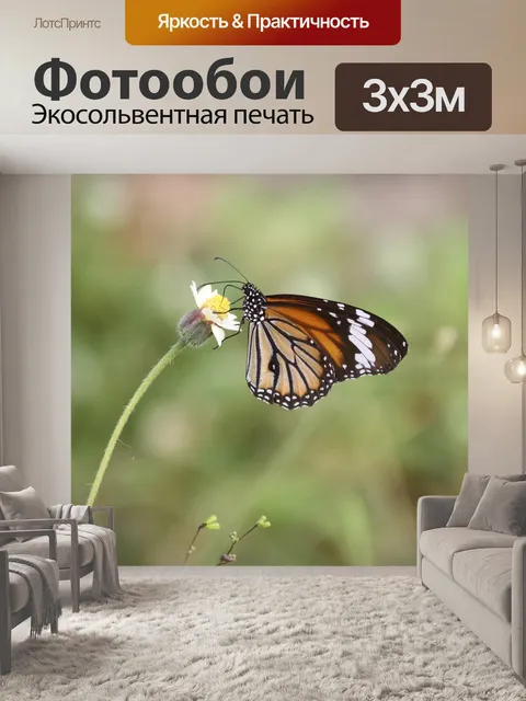 Фотообои Бабочка
