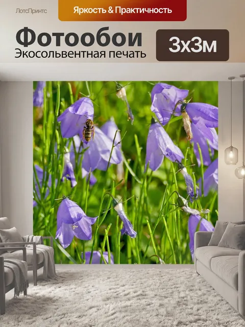 Фотообои Пейзаж