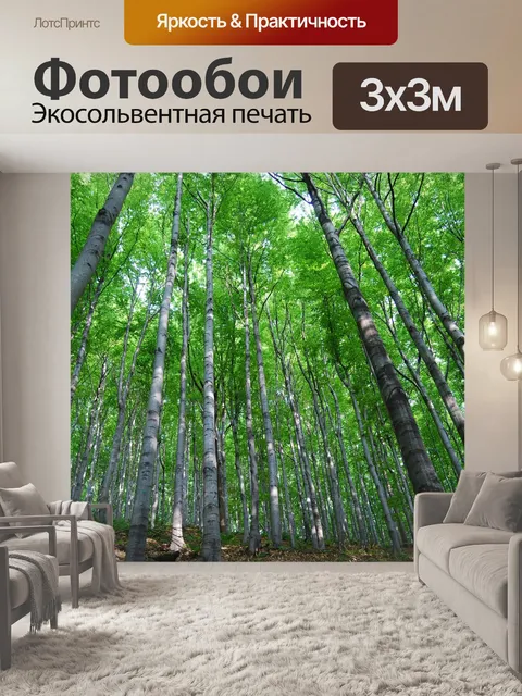 Фотообои Деревья