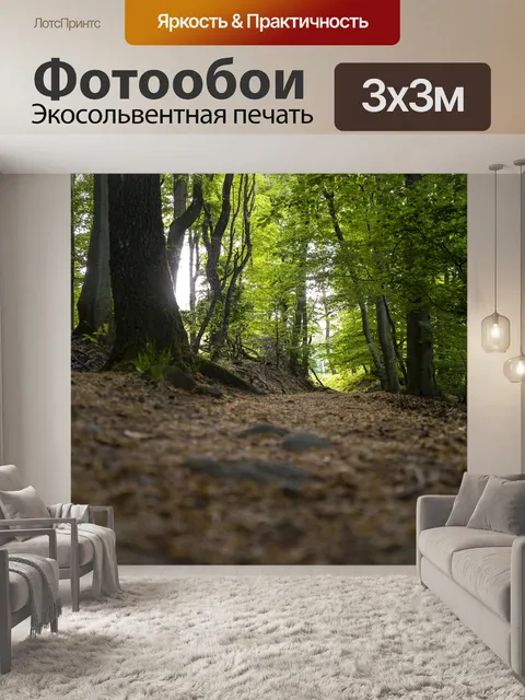 Фотообои Лес