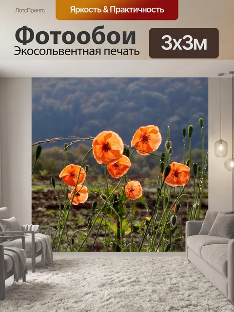Фотообои Маки