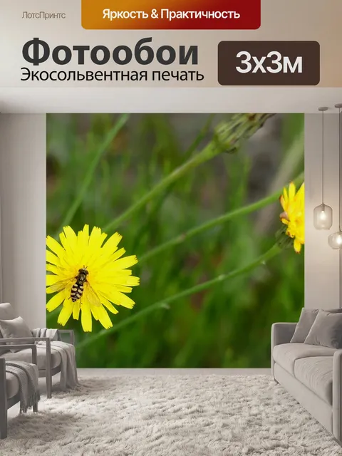 Фотообои Одуванчик