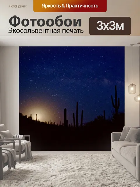 Фотообои Деревья