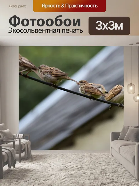 Фотообои Птицы