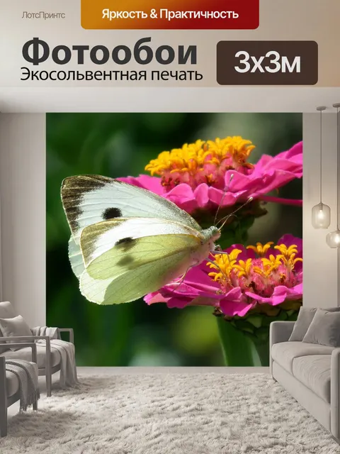 Фотообои Бабочка