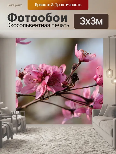 Фотообои Цветение вишни