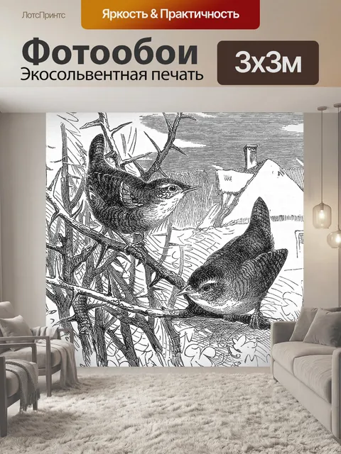 Фотообои Крапивник