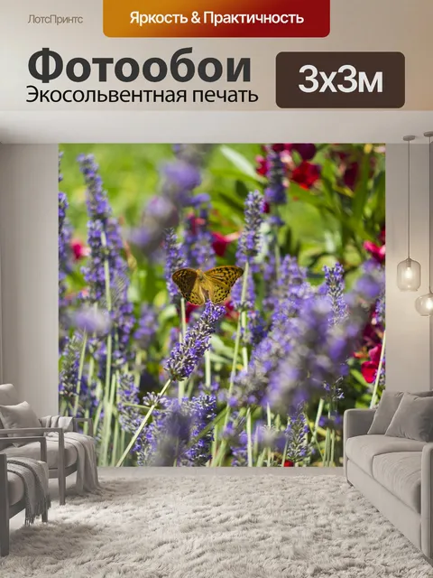 Фотообои Бабочка