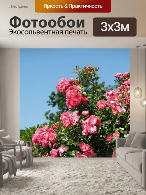 Фотообои Цветок