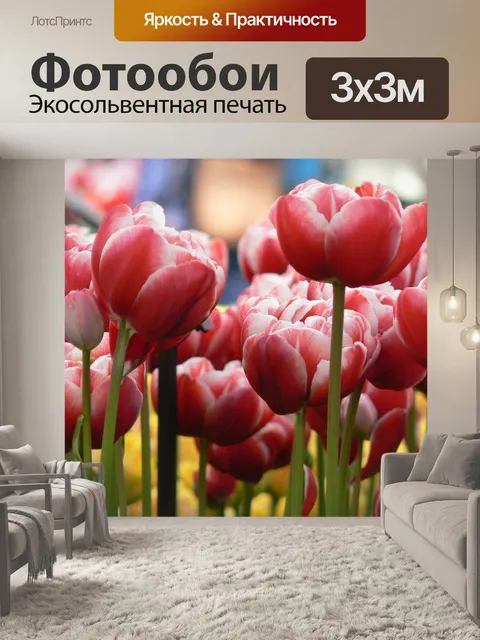 Фотообои Тюльпаны