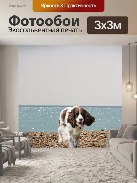 Фотообои Собакой на пляже