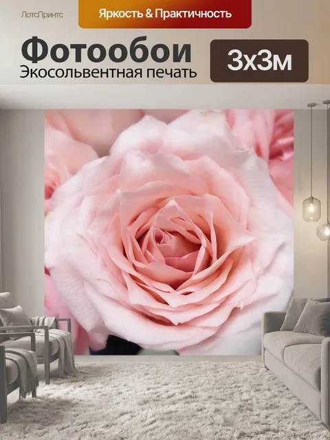 Фотообои Роза