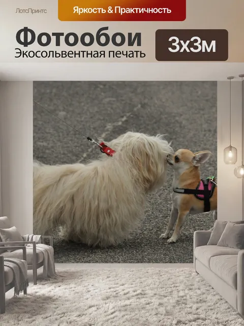 Фотообои Собаки