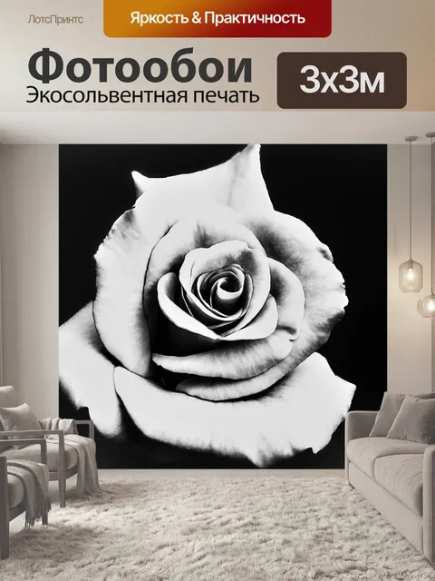 Фотообои Роза