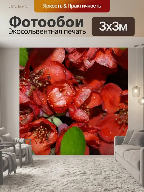 Фотообои Фрукты