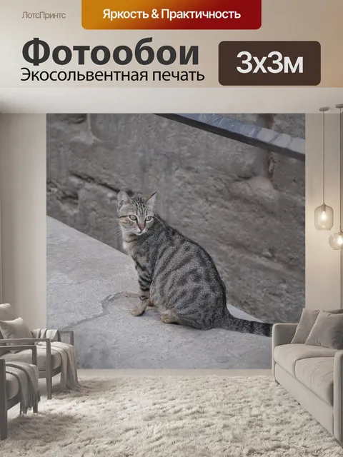 Фотообои Кошка