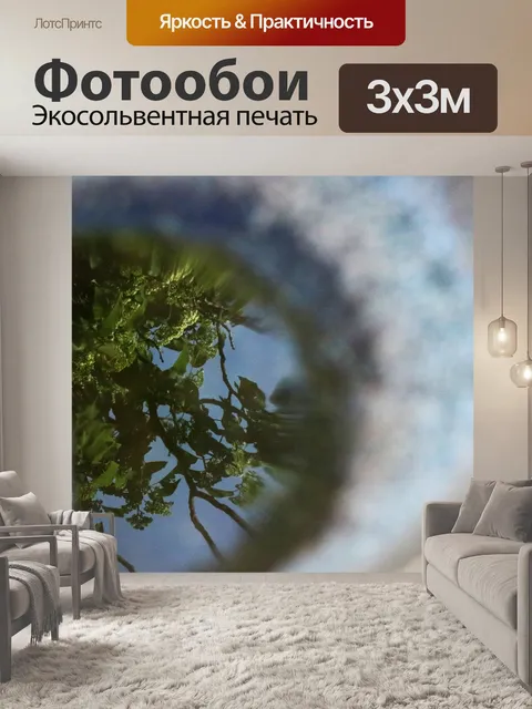 Фотообои отражение неба в ванне для птиц