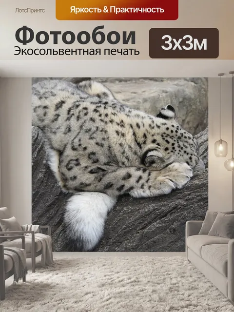 Фотообои Спящий Snow Leopard