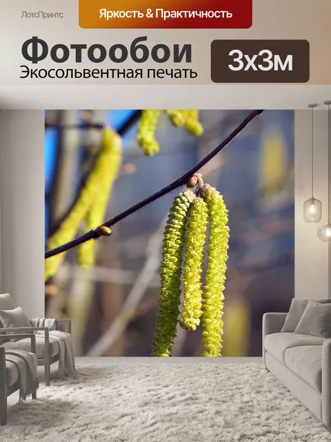 Фотообои Лесной орех
