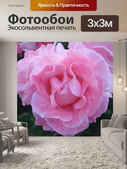 Фотообои Цветок