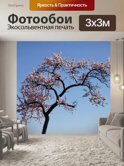 Фотообои Цветок миндаля