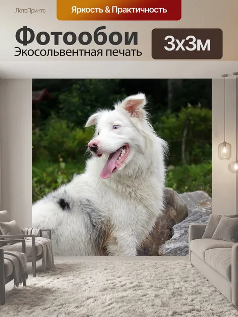 Фотообои Лето