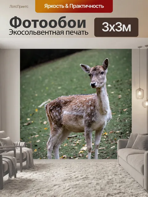 Фотообои Природа