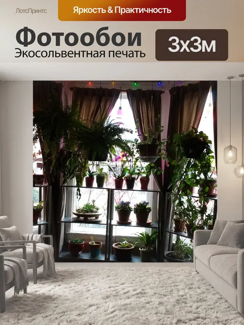 Фотообои Орхидеи в окне