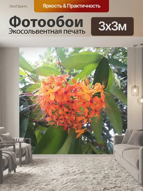 Фотообои Цветок