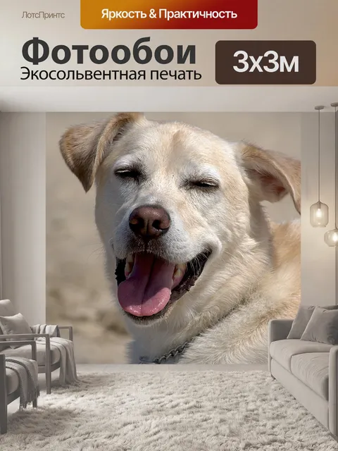 Фотообои Собаки