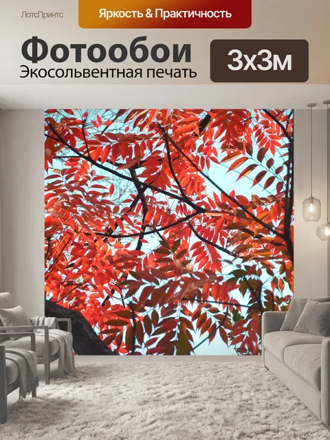 Фотообои Листья