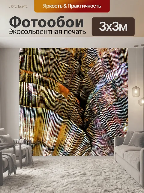 Фотообои Фон морской оболочки