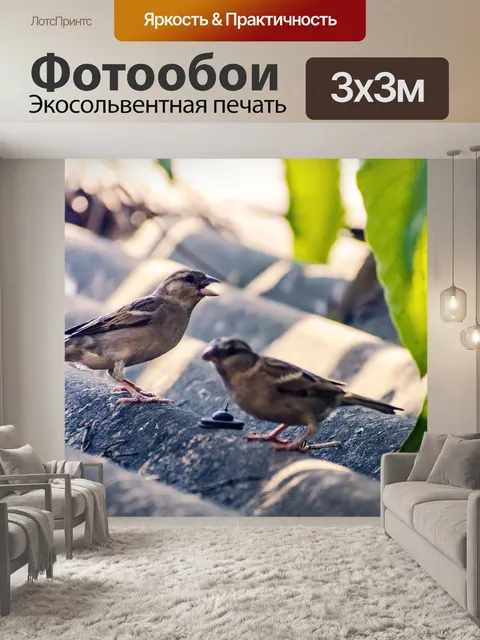 Фотообои Птицы