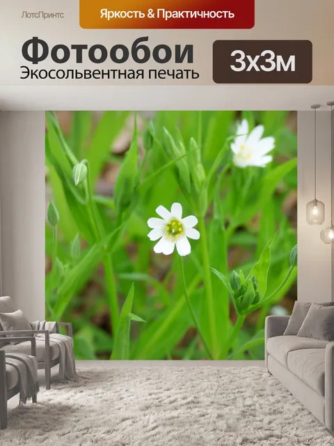 Фотообои Весна