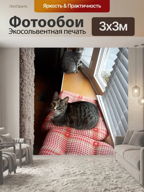Фотообои коты