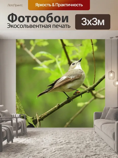 Фотообои Птица